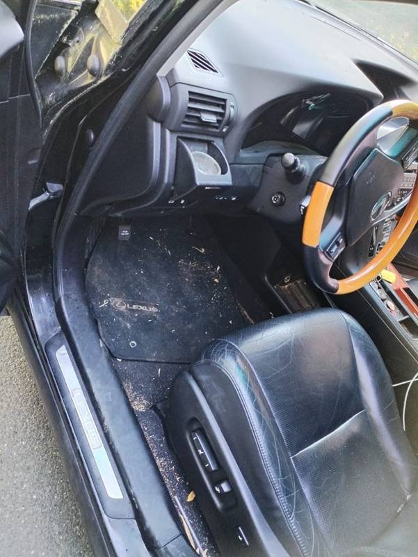 Before cleaning